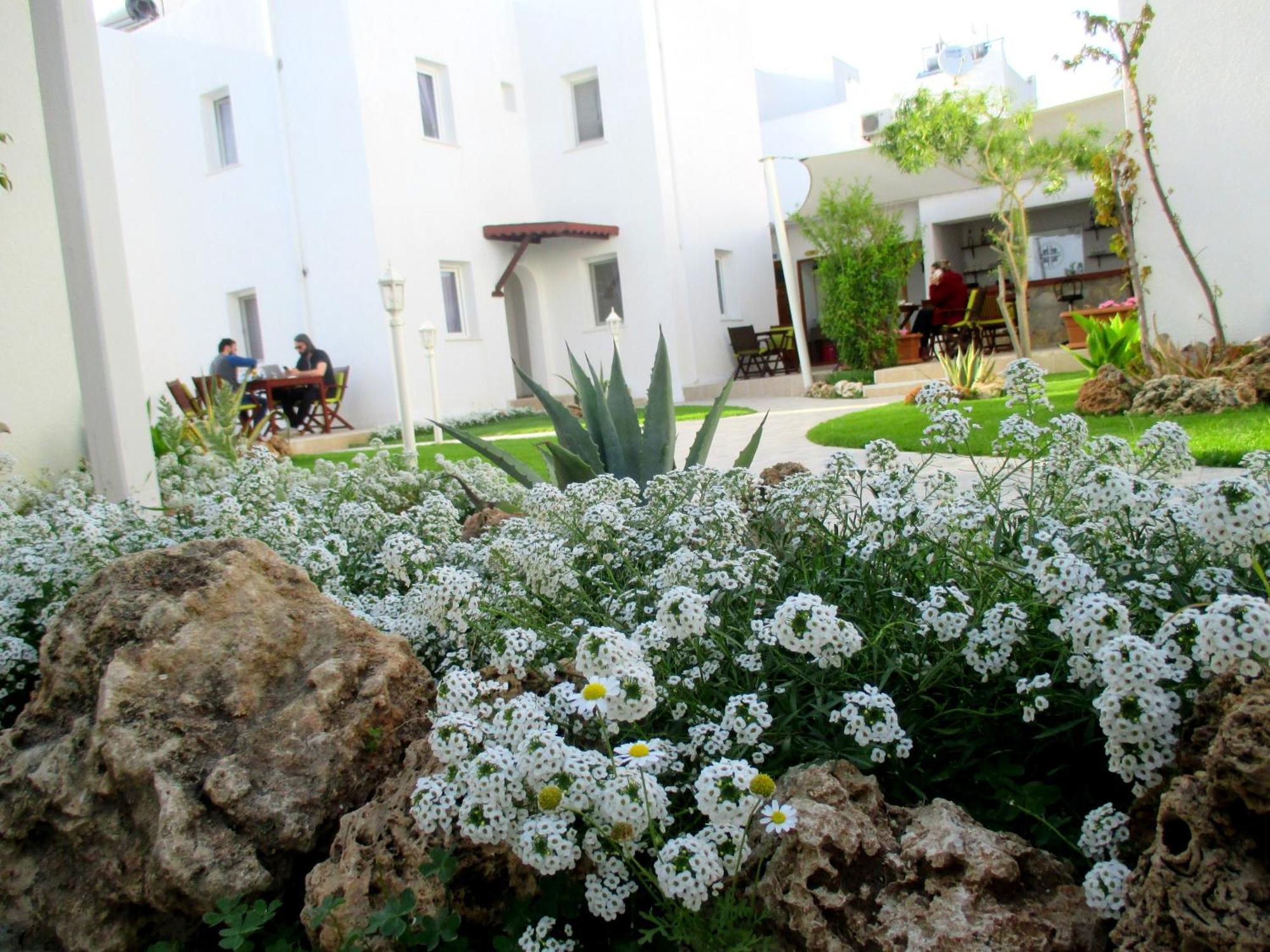 Canna Garden Hotel - Adult Only Gümbet Exterior foto